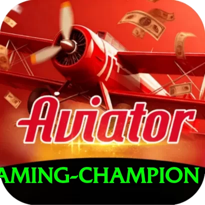 pkcasino Gaming Champion - 2